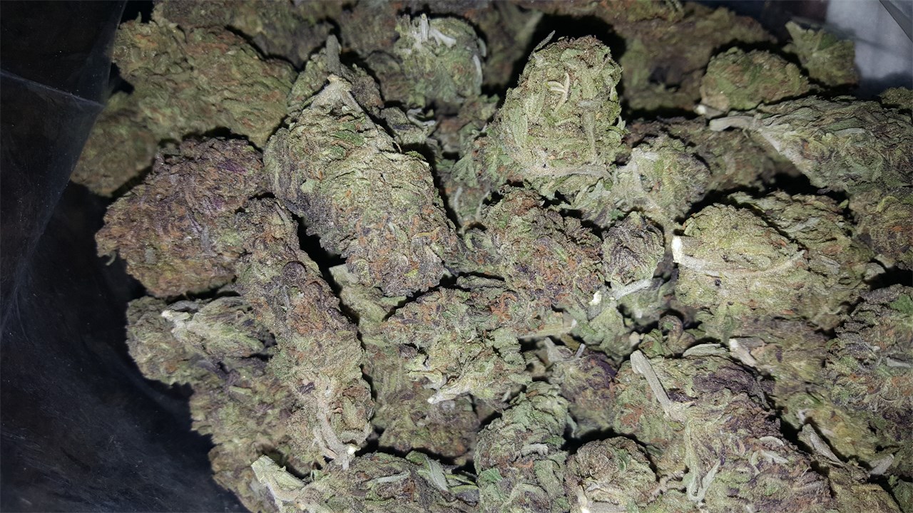cali-kush__primary_d377